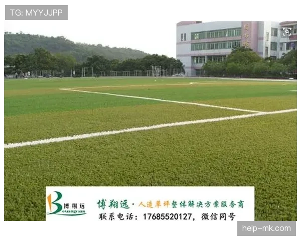 草坪场地规则拆解：职业比赛必须满足哪些标准？